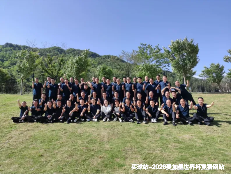 核心团队与专业资质